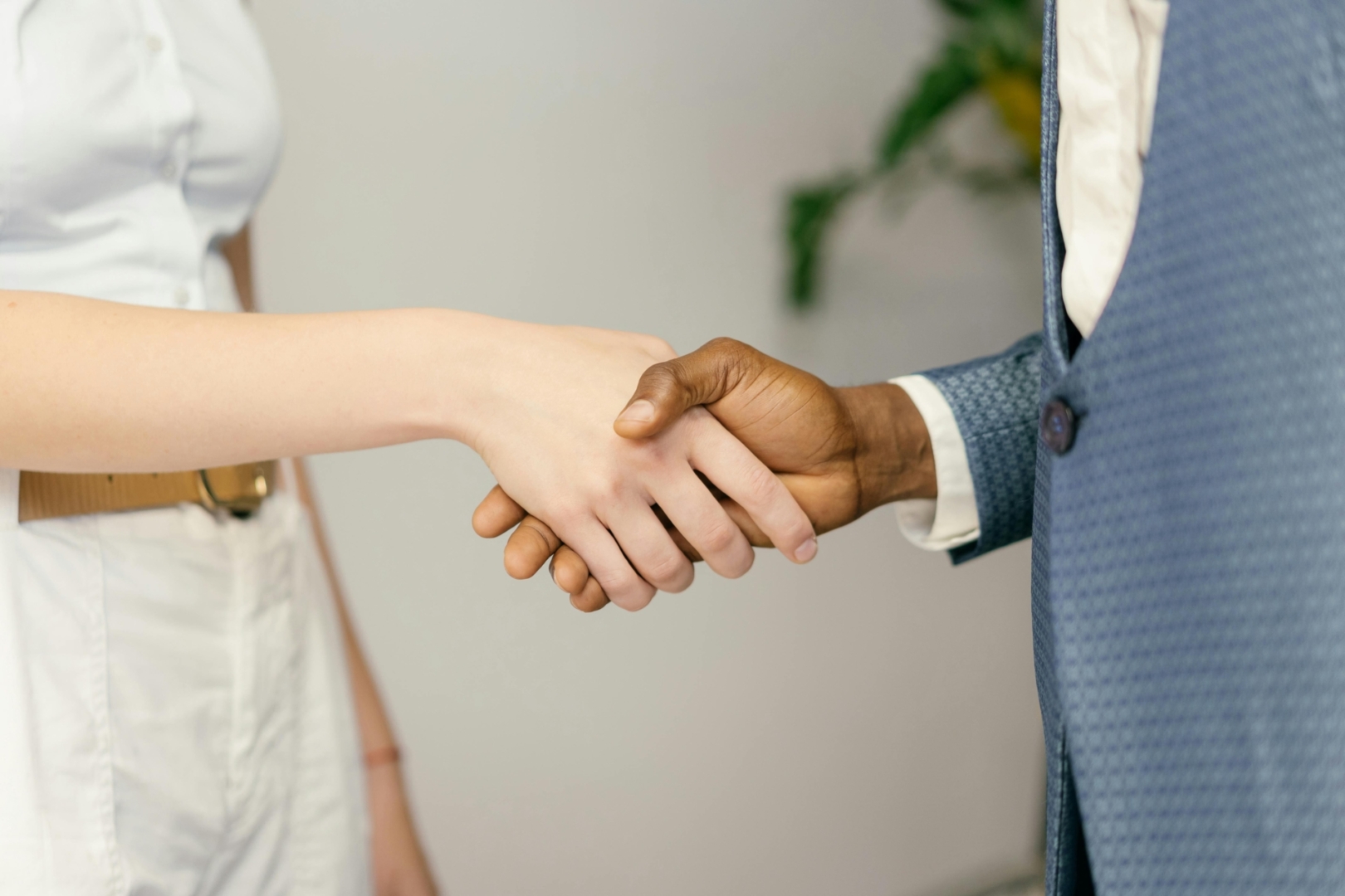 twee personen schudden elkaar de hand