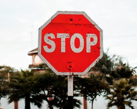 stopbord met palmbomen op de achtergrond